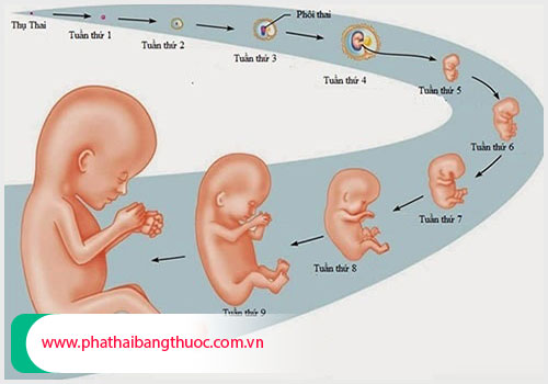 [TPHCM] Có thai 4 tuần phá bằng cách nào và có nguy hiểm không?